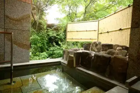Ryokan Kutsuroginoya Yuu - 24