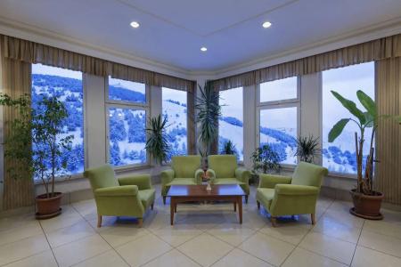 Palan Ski & Convention Resort - 13