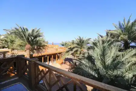 Acacia Dahab - 63