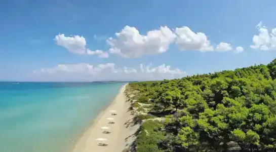 Sani Beach - 29