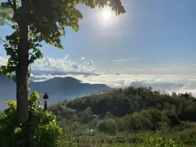 Zarha Mountain Resort - 125