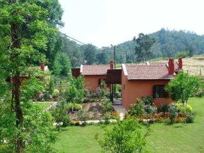 Dalya Life - 31