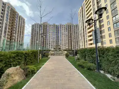 Привилегия - 10