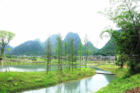 Peach Blossom Resort (near Reed Flute Rock, free pick up for min 3 nights) - 17