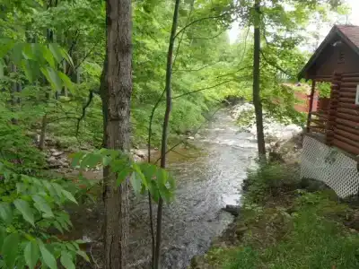 Seven Dwarfs & Cabins - 12