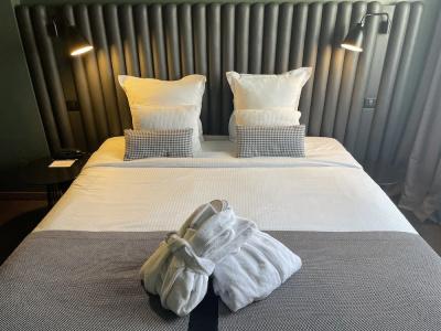 Hôtel Diana Dauphine - 63