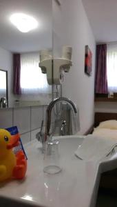 Pension Haus Diefenbach - 19