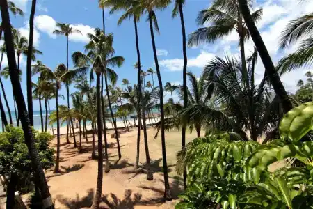 Kaimana Beach - 74