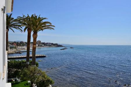 Villa delle Palme - 12
