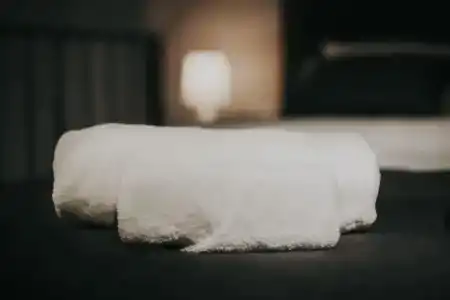 Luxury inn - 37