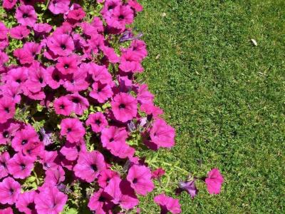 Sangallo Park - 14