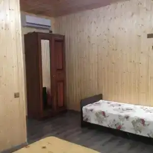 Георгина - 1