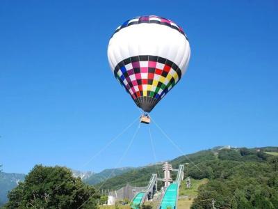 Phoenix Cocoon By Hakuba Group - 31