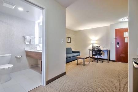 Comfort Inn & Suites South - 46