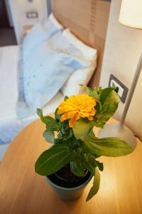 Alexandros Boutique - 220