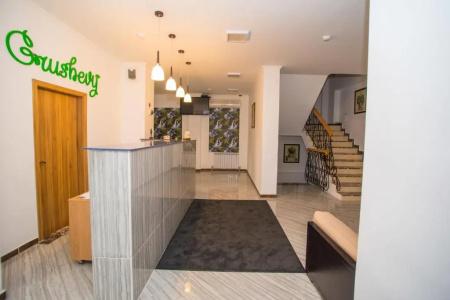 Grushevy Hospitality Boutique - 11
