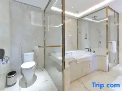 Wyndham Grand Plaza Royale Chongqing - 79