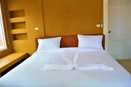 World Cat Resort - 95