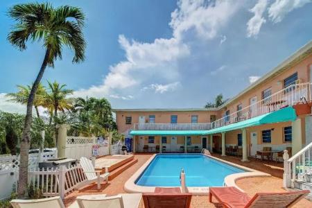 The Palms - 11