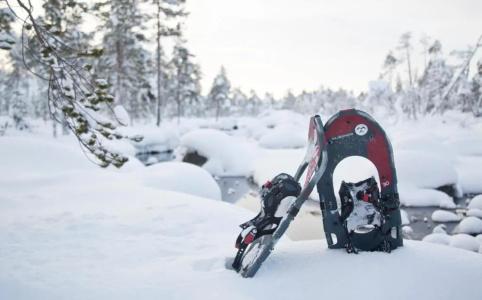 Wilderness & Igloos Inari - 9