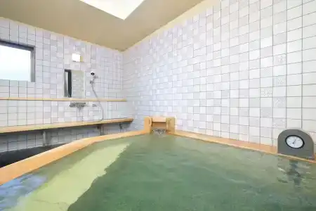 Hakone Kogen - 11