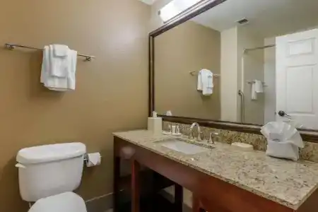 Comfort Suites - 44