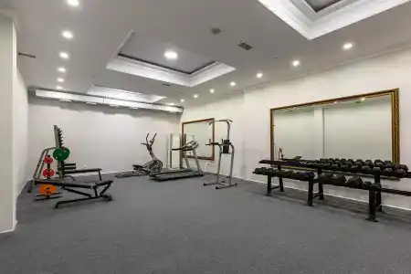 Renion - 25