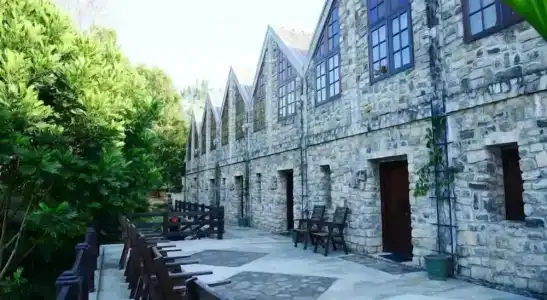 Mount Royal - 19