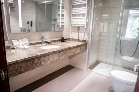 Grand Aras & Suites - 9