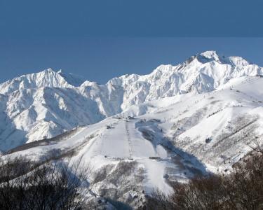 Hakuba Mominoki - 23