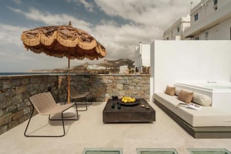 Naxos Rhyton - 28