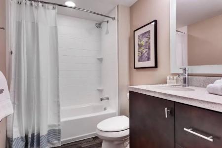 TownePlace Suites by Marriott Austin Parmer/Tech Ridge - 65