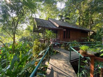 Khaosok Riverside Cottages - 46