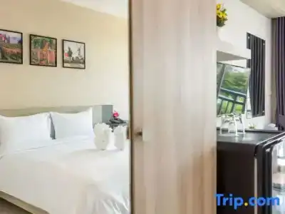 Evergreen Suite - 50