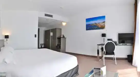 Golden Tulip La Baule - 102