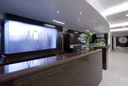Aqua - 1
