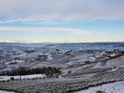 b&b Villa Bellavista Alba - 70