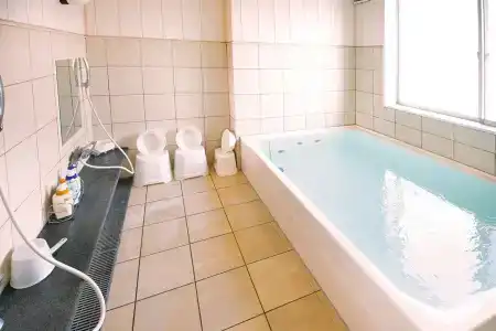 Kuretake Inn Gotemba Inter Gold Cabin - 16