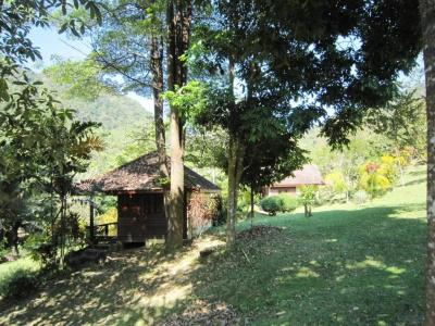 Phanom Bencha Mountain Resort - 32