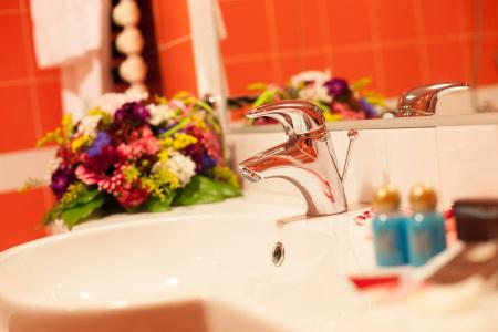 Victoria Terme - 4