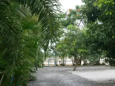 Baan Suan Palm - 10