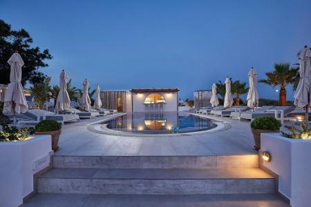 Petri Suites - 18