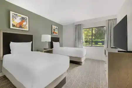 Parkway International Celebration Area By Diamond Resorts - 5