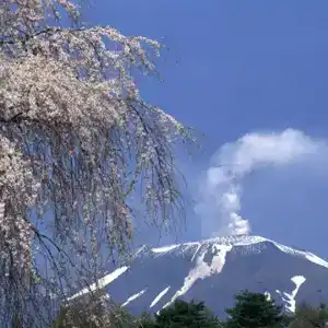 Meijiya Ryokan - 1
