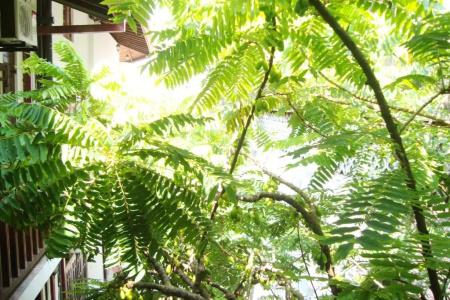 Southern Comforts - Galle Fort - 96