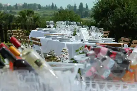 Koczor Winery & Guesthouse - 8