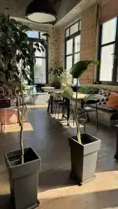 Iconic Athens Hostel - 19