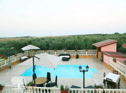 Tenuta Madre Terra - 3