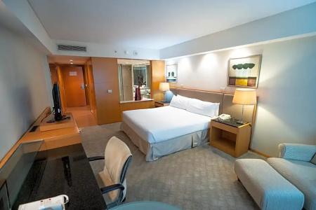 Melia Buenos Aires - 87