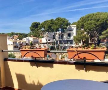 Montecarlo - 18